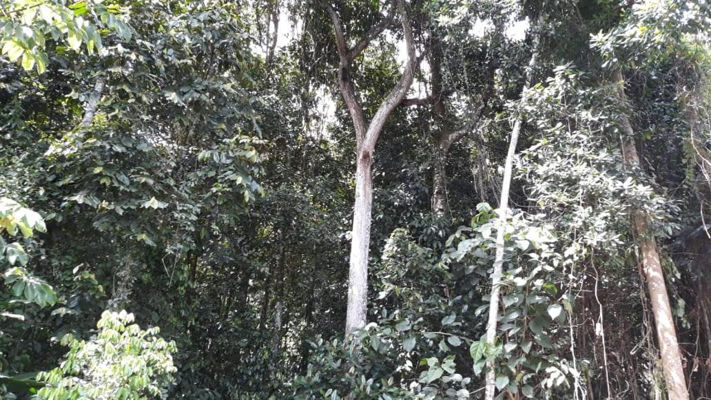 Albergue De Montana Talari San Isidro De El General Экстерьер фото